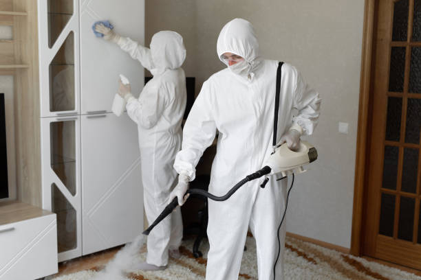 Best Industrial Mold Remediation in Charles City, IA